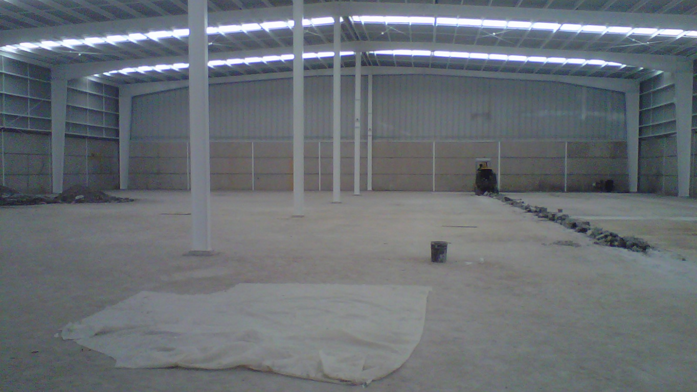 Por qué la renta de bodegas industriales es una opción estratégica para reducir costos y maximizar la rentabilidad