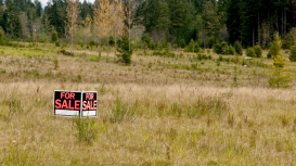 Los elementos esenciales para crear un anuncio exitoso que destaque las características únicas y potencial de tu terreno para captar la atención y cerrar la venta 