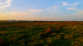 Vende tu terreno con éxito: estrategias de marketing que funcionan