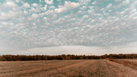 ¡Haz que tu terreno sea la opción más atractiva del mercado con estrategias innovadoras y creativas que lo destaquen! 