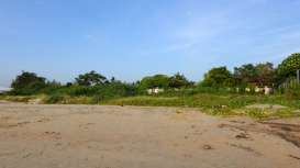 Descubre por qué la ubicación es clave al rentar un terreno