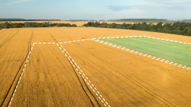 Descubre cómo resaltar las cualidades únicas de tu terreno para atraer a los compradores interesados de forma efectiva