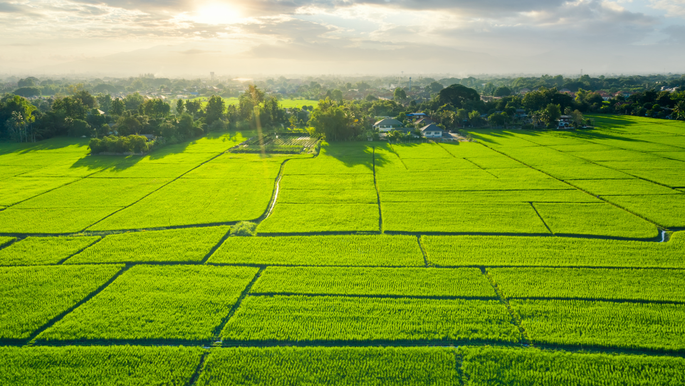 Los beneficios de invertir en la promoción de venta de terrenos para asegurar una transacción efectiva y satisfactoria tanto para compradores como vendedores 