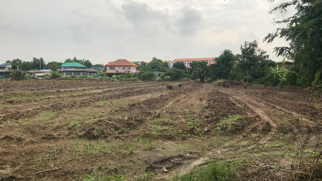 ¡Haz que tu terreno se destaque en el mercado de arrendamiento con estrategias efectivas y novedosas que atraigan a los mejores inquilinos y garanticen una buena ocupación 
