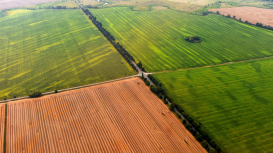 Cómo garantizar la satisfacción de los inquilinos y mantener la ocupación de tu terreno