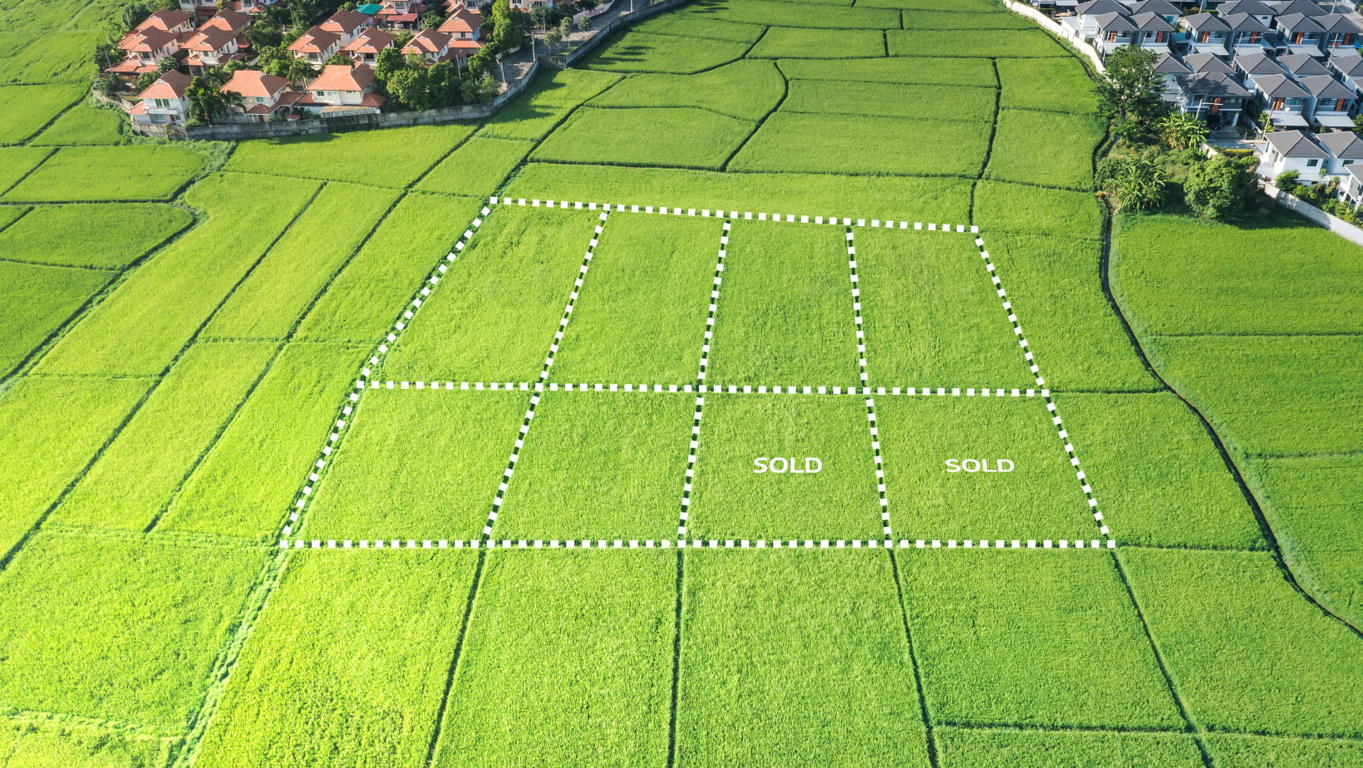 Los beneficios de contratar servicios de promoción para rentar tu terreno