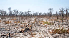 Descubre por qué es esencial tener un seguro para terrenos al rentarlos y proteger tu inversión frente a posibles contratiempos o contingencias inesperadas 