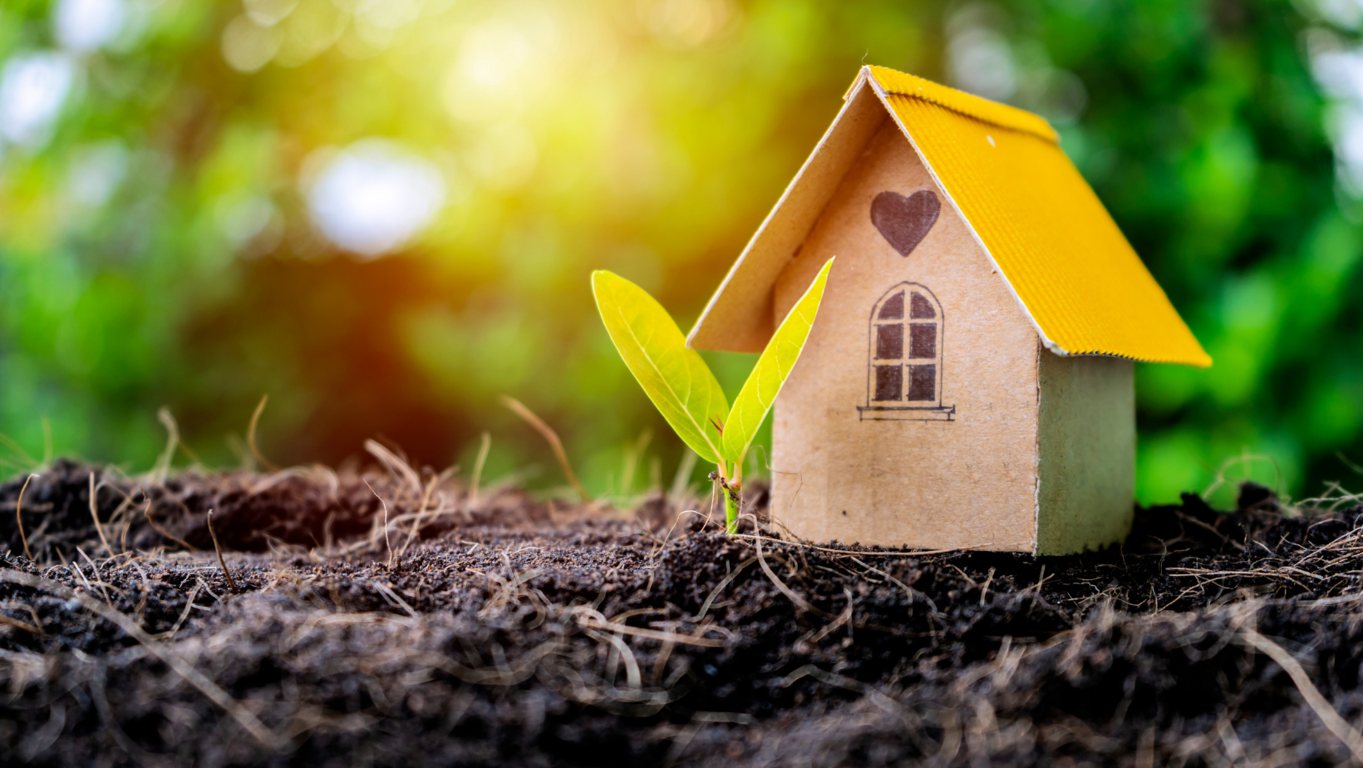 Consejos para Aprovechar al Máximo la Experiencia y Conocimiento de Mercado de tu Agente Inmobiliario