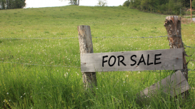 ¡No dejes vacío tu terreno! Rentarlo es la mejor opción