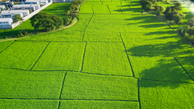 Prepara tu terreno para la venta: recomendaciones y tips útiles