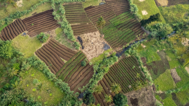 ¡Destaca entre la competencia en el mercado de arrendamiento con estrategias efectivas!