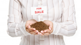 ¿Quieres rentar tu terreno? Descubre cómo hacerlo con éxito