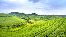 Rentar terrenos: maximiza tus ganancias con un enfoque estratégico y rentable