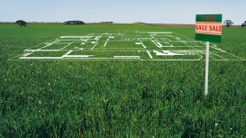 ¡Haz que tu terreno sea la opción más atractiva del mercado con estrategias innovadoras y creativas que lo destaquen frente a la competencia! 