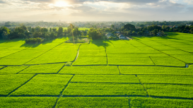 Los beneficios de invertir en la promoción de venta de terrenos para asegurar una transacción efectiva y satisfactoria tanto para compradores como vendedores 