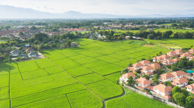 Descubre cómo resaltar las cualidades únicas de tu terreno para atraer a los compradores interesados
