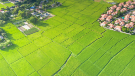 Cómo resaltar el potencial de tu terreno para captar la atención de los compradores