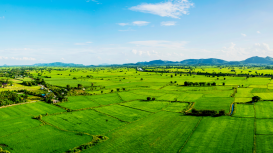 Consejos para fijar el precio de renta perfecto para tu terreno