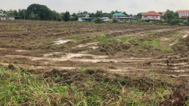 Cómo destacar las ventajas de tu terreno para atraer a los compradores