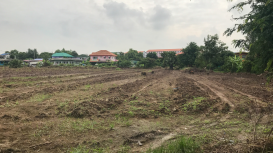 Descubre c�mo optimizar la renta de tu terreno y obtener los mejores ingresos posibles con estrategias comprobadas por expertos 