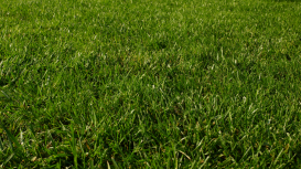 Cómo un Agente Inmobiliario Puede Potenciar la Visibilidad y Reconocimiento de tu Marca Personal en la Promoción de tu Casa de Forma Eficaz